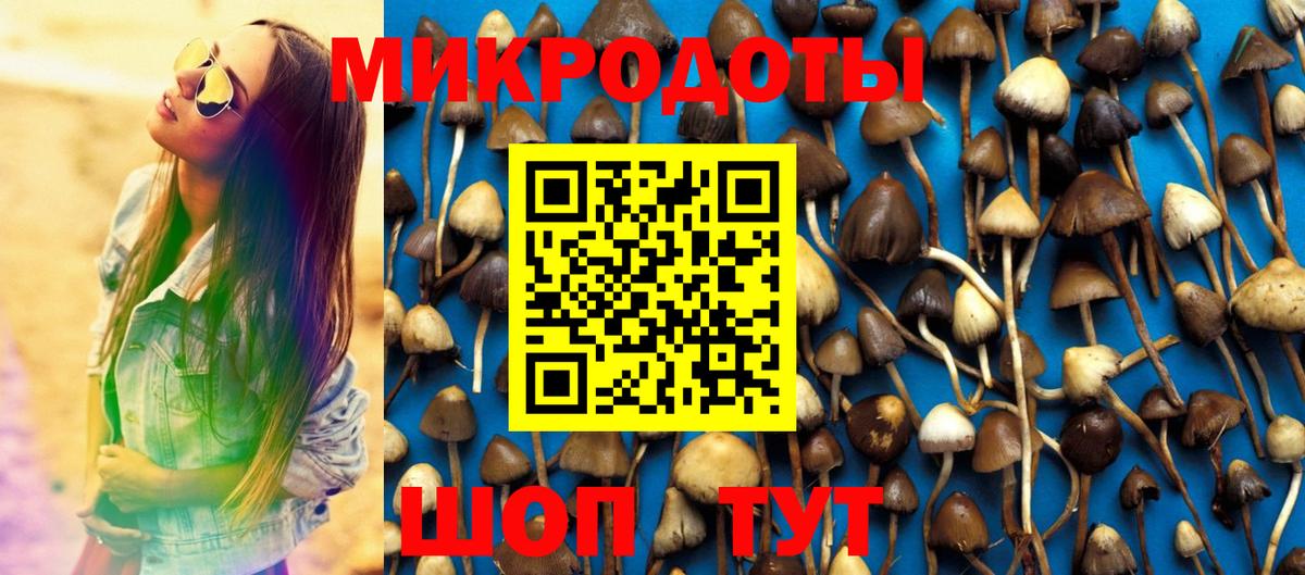Галлюциногенные грибы прущие грибы  Вход с VPN  Сертолово 